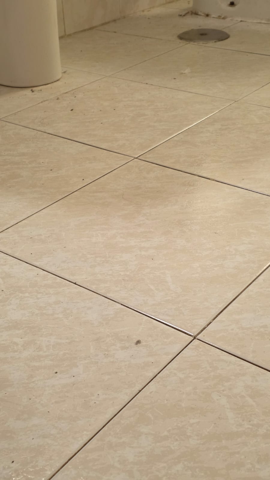 Before professional deep cleaning