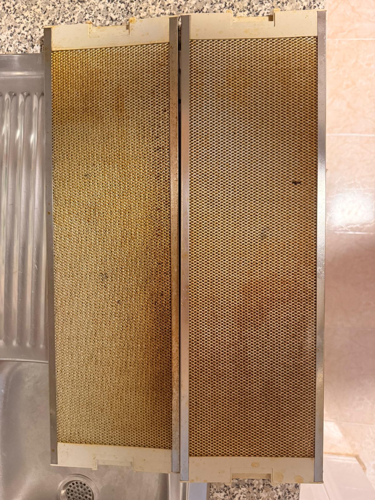 Before professional deep cleaning
